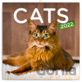 Poznámkový kalendár Cats 2022