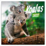Poznámkový kalendár Koalas 2022