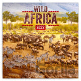 Poznámkový kalendář Wild Africa 2022