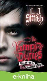 Vampire Diaries: The Return: Shadow Souls