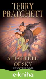 Hat Full of Sky