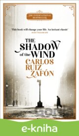 The Shadow of the Wind