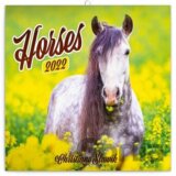 Poznámkový kalendář Horses 2022