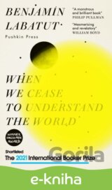 When We Cease to Understand the World