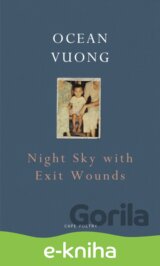 Night Sky with Exit Wounds