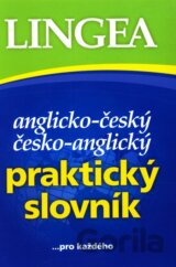 Anglicko-český česko-anglický praktický slovník