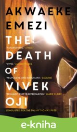 The Death of Vivek Oji