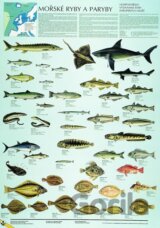 Mořské ryby a paryby