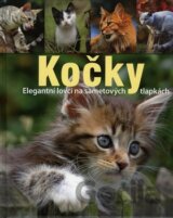 Kočky