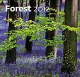 Forest 2012 - Nástěnný kalendář