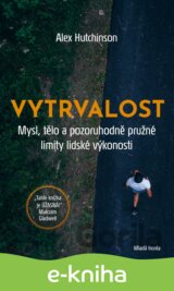 Vytrvalost