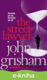 The Street Lawyer