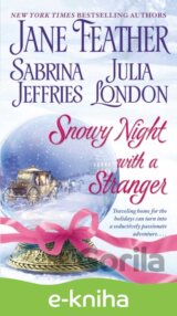 Snowy Night with a Stranger