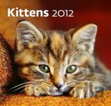 Kittens 2012 - Nástěnný kalendář