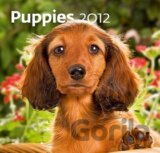 Puppies 2012 - Nástěnný kalendář