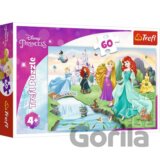 Disney Princess - Seznamte se s princeznami