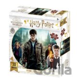Harry Potter 3D puzzle - Harry, Hermiona a Ron