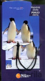 Tučňáci