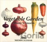 Vegetable Garden 2012