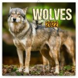 Poznámkový kalendář Wolves 2022