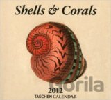 Shells & Corals 2012