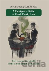 A Foreigner’s Guide to Czech Family Law
