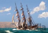 Sailing Adventure