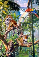 Relax in the Jungle