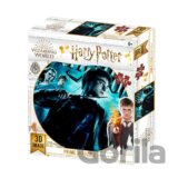 Harry Potter 3D puzzle 500