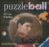 Puzzleball Twilight - Jacob