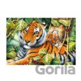 Dva tigre