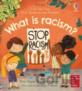 What is racism?