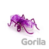 HEXBUG Micro Ant - fialový