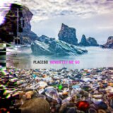 Placebo: Never Let Me Go LP