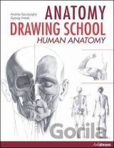 Anatomy Drawing School: Human Anatomy