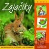 Zajačiky