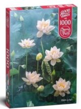 Bílý lotus