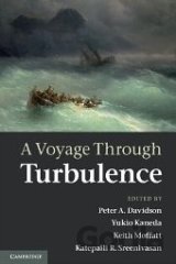 A Voyage Throught Turbulence