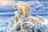Arctic kingdom