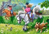 Horse Jumping