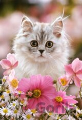 Made of Fur