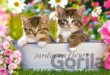 Little Friends