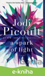 A Spark of Light