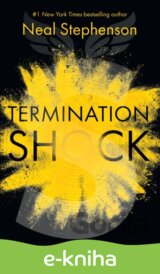 Termination Shock