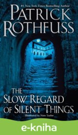 The Slow Regard of Silent Things