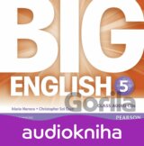 Big English Plus 5: Class CD