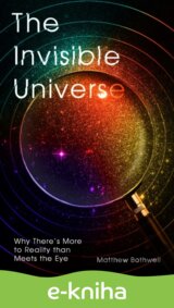 The Invisible Universe