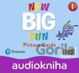 New Big Fun 1 - Class Audio