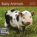 Baby Animals 2013