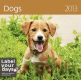 Dogs 2013